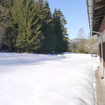 Area53 - Haus Am Hochwald Apartment Neuhaus am Rennweg